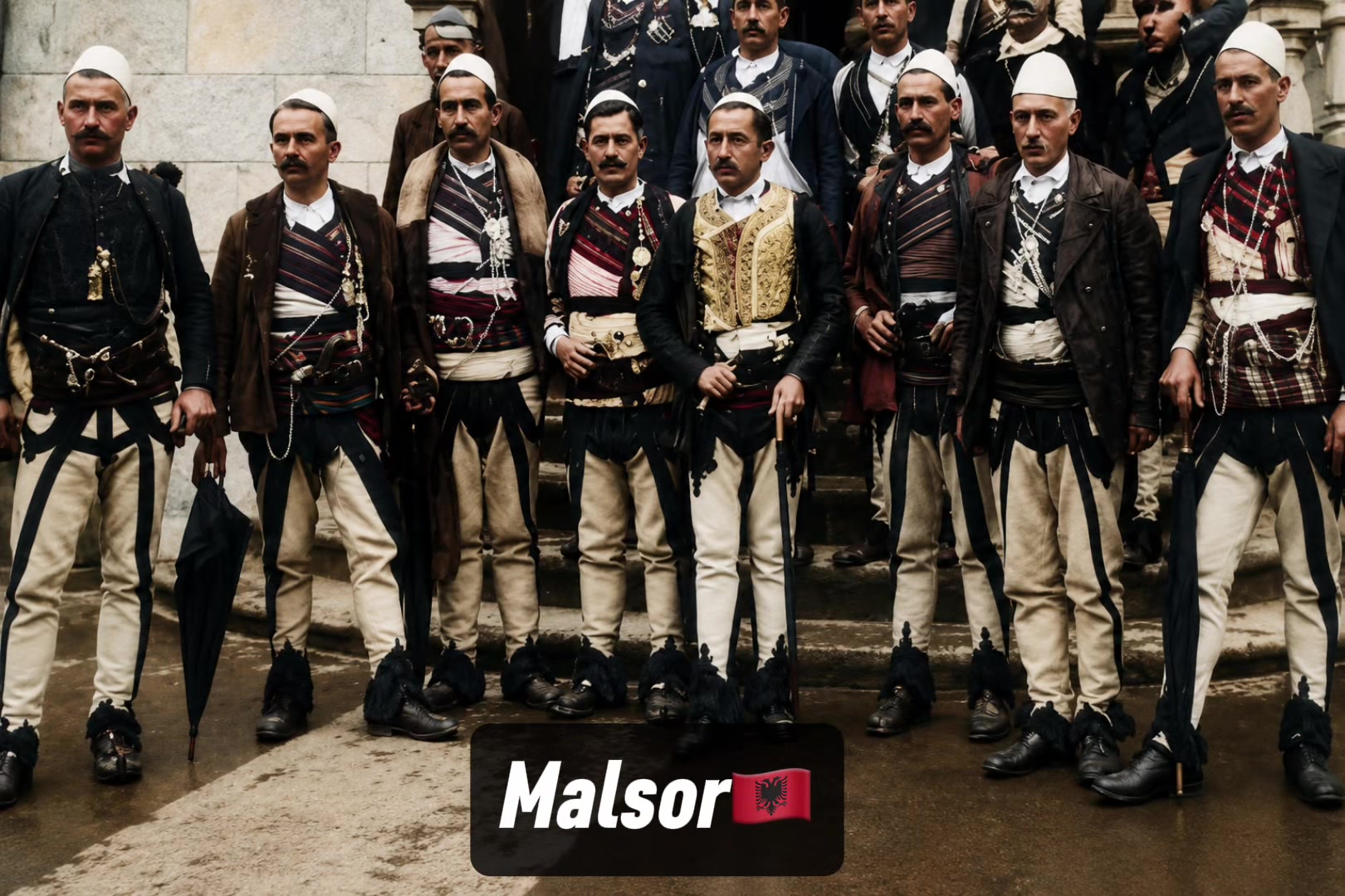 @Albanian Kuçi