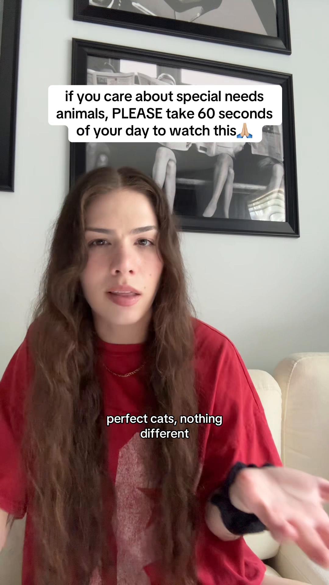 @𝘼𝙢𝙗𝙚𝙧 & 𝙎𝙩𝙚𝙫𝙞𝙚