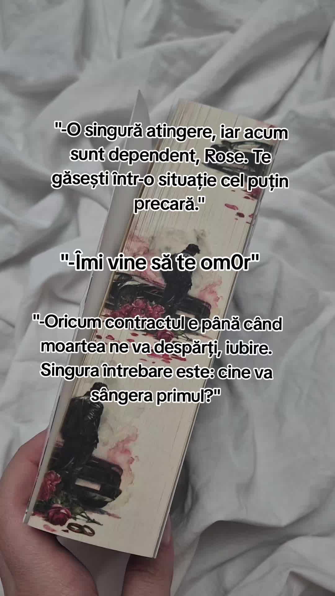 @story.of.the.books