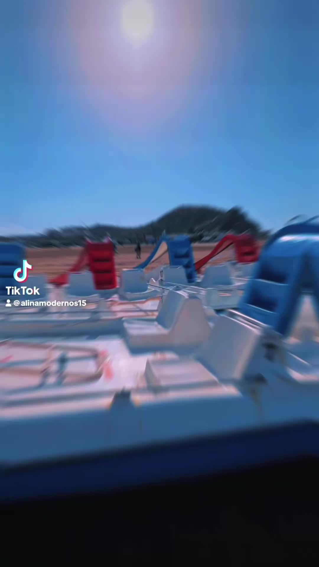 @Alina L