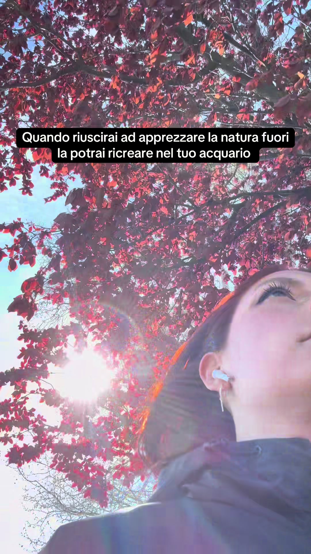 @ElenaStardust
