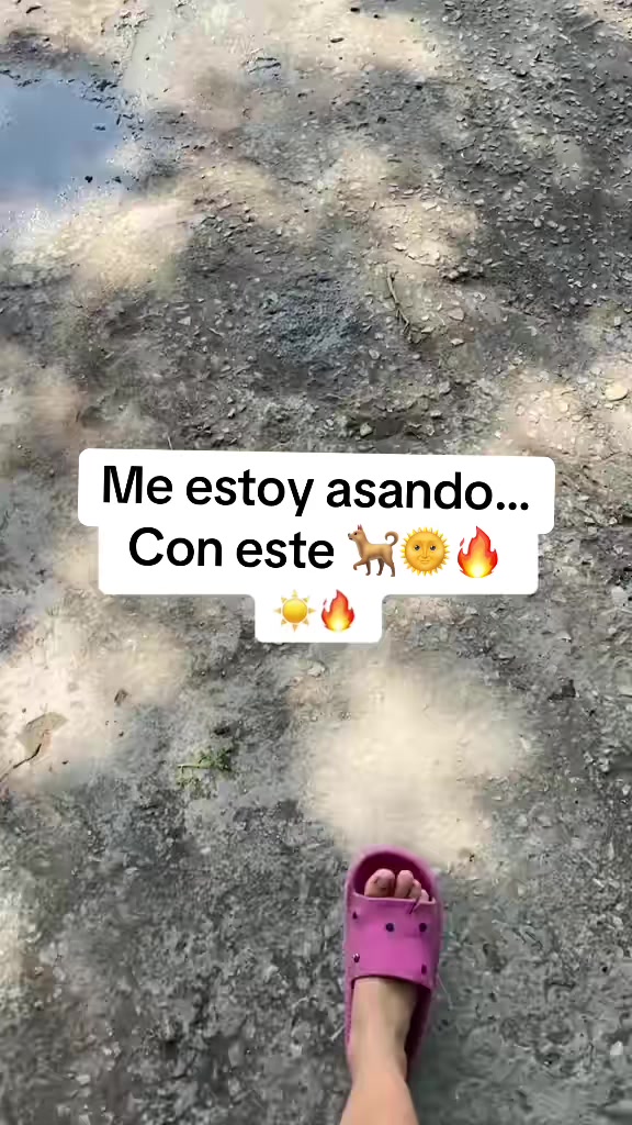 @Grettel Rdz✨🌻