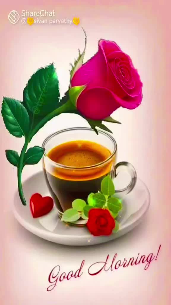 @๐ฅ๐Sโ๐ฟAMMU๐ฟโT๐๐ฅ