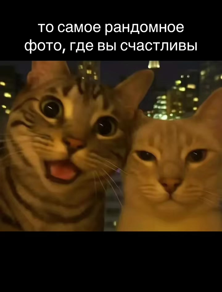 @дашка