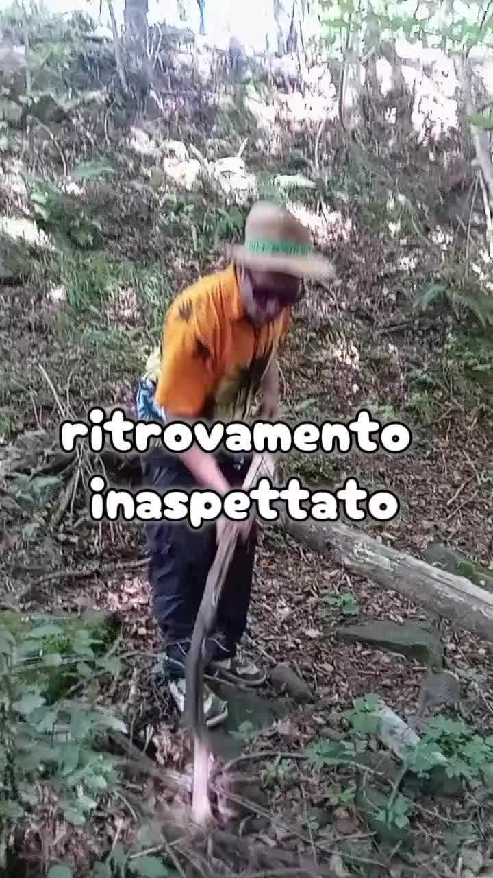 @Il giardiniere felice