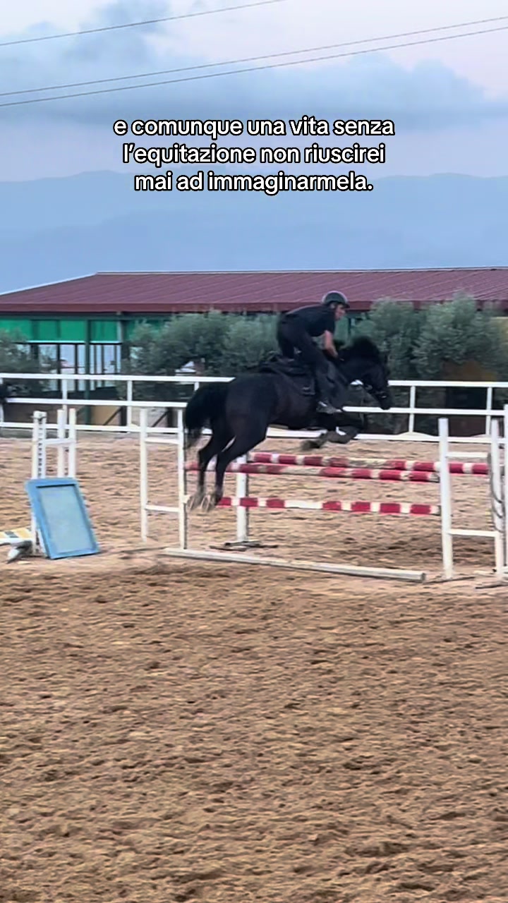 @isa_pullo🩶🐴