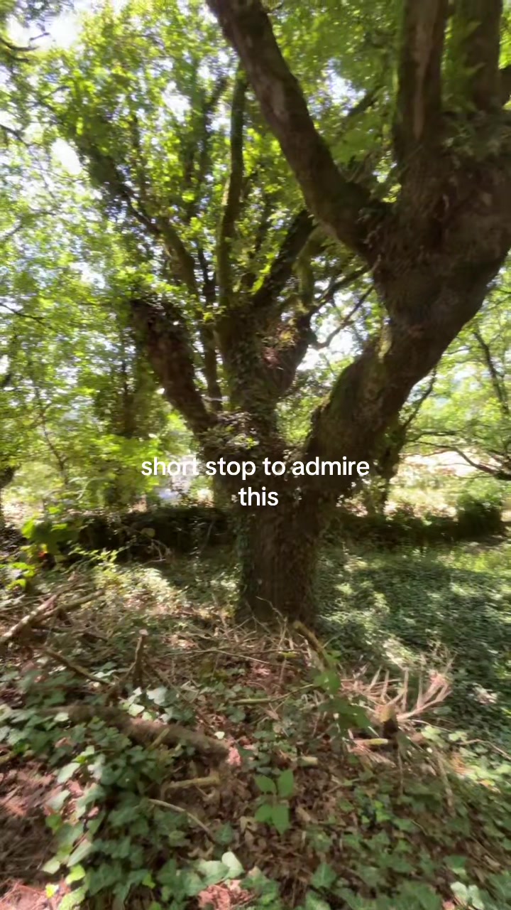 @𝔍𝔅
