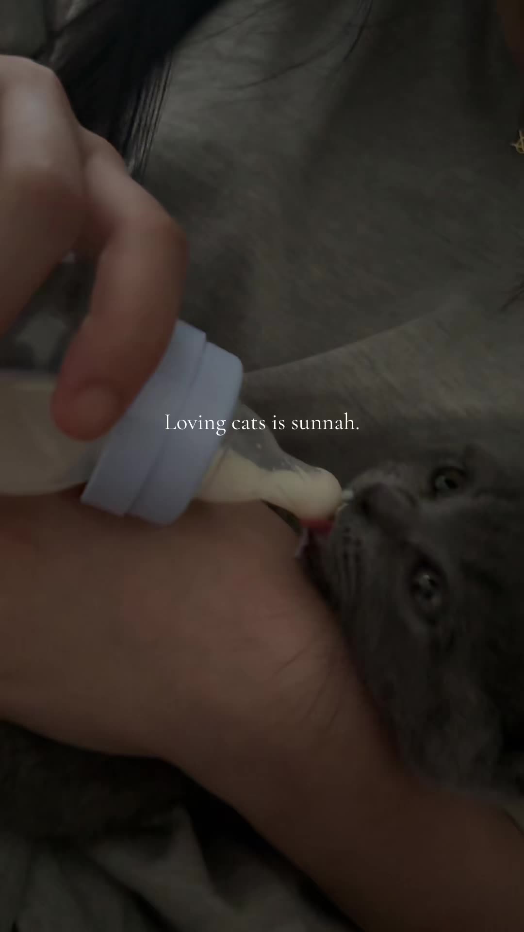 @๐ฟ