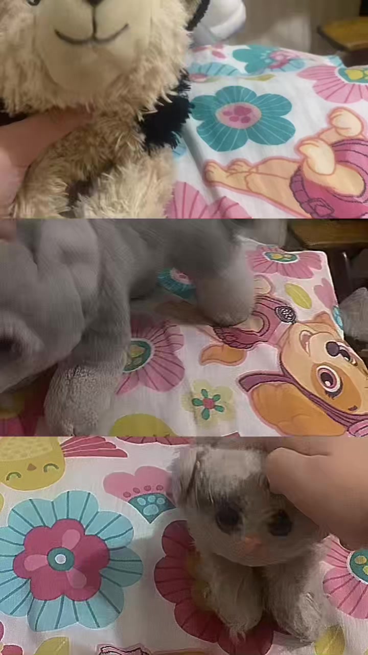 @Marla.woof woof