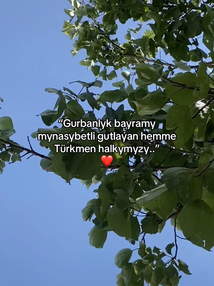 @ballyýevvv