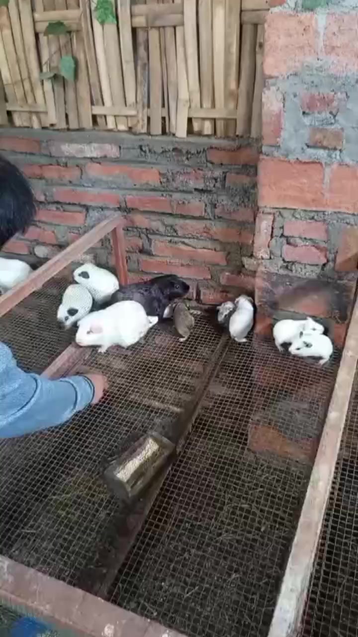 @Jose & putra si burung nakal