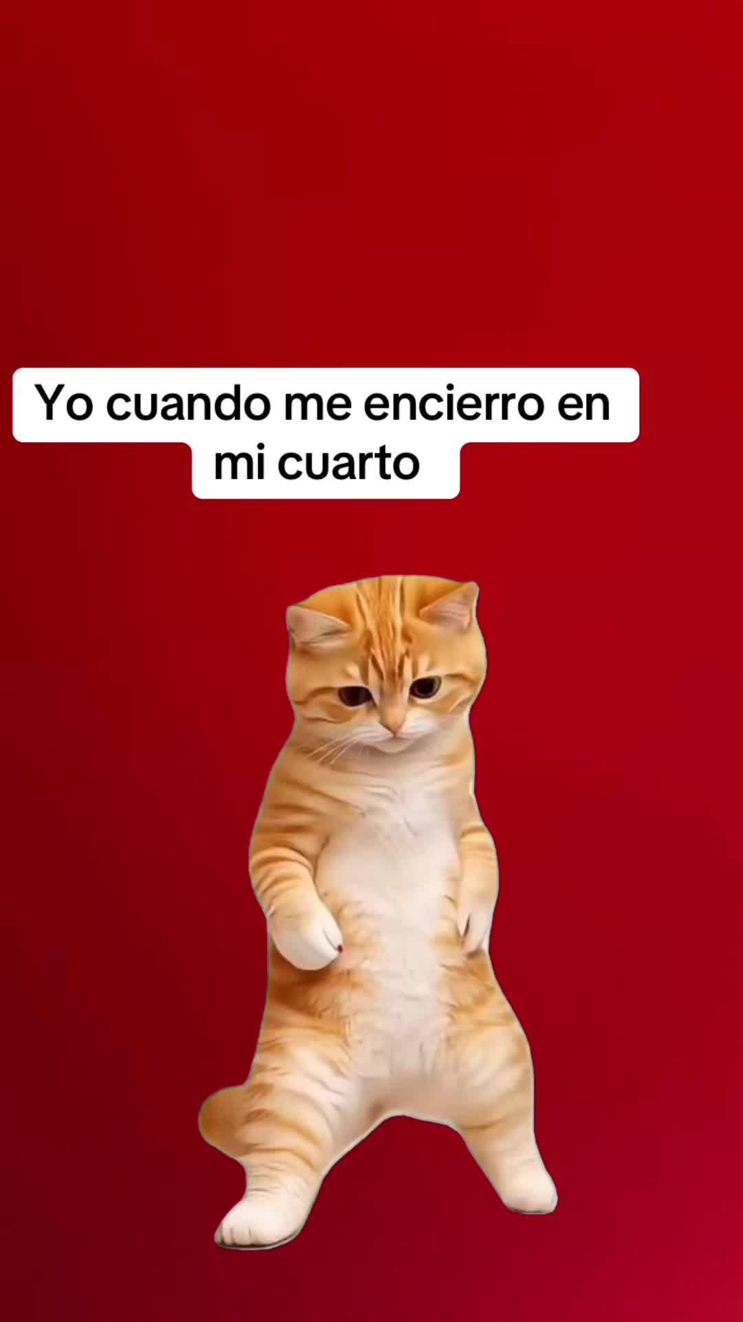 @Xioma