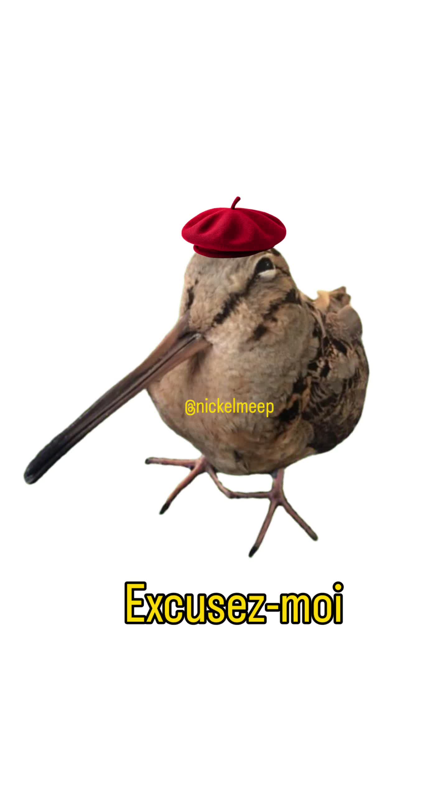 @nickelmeep