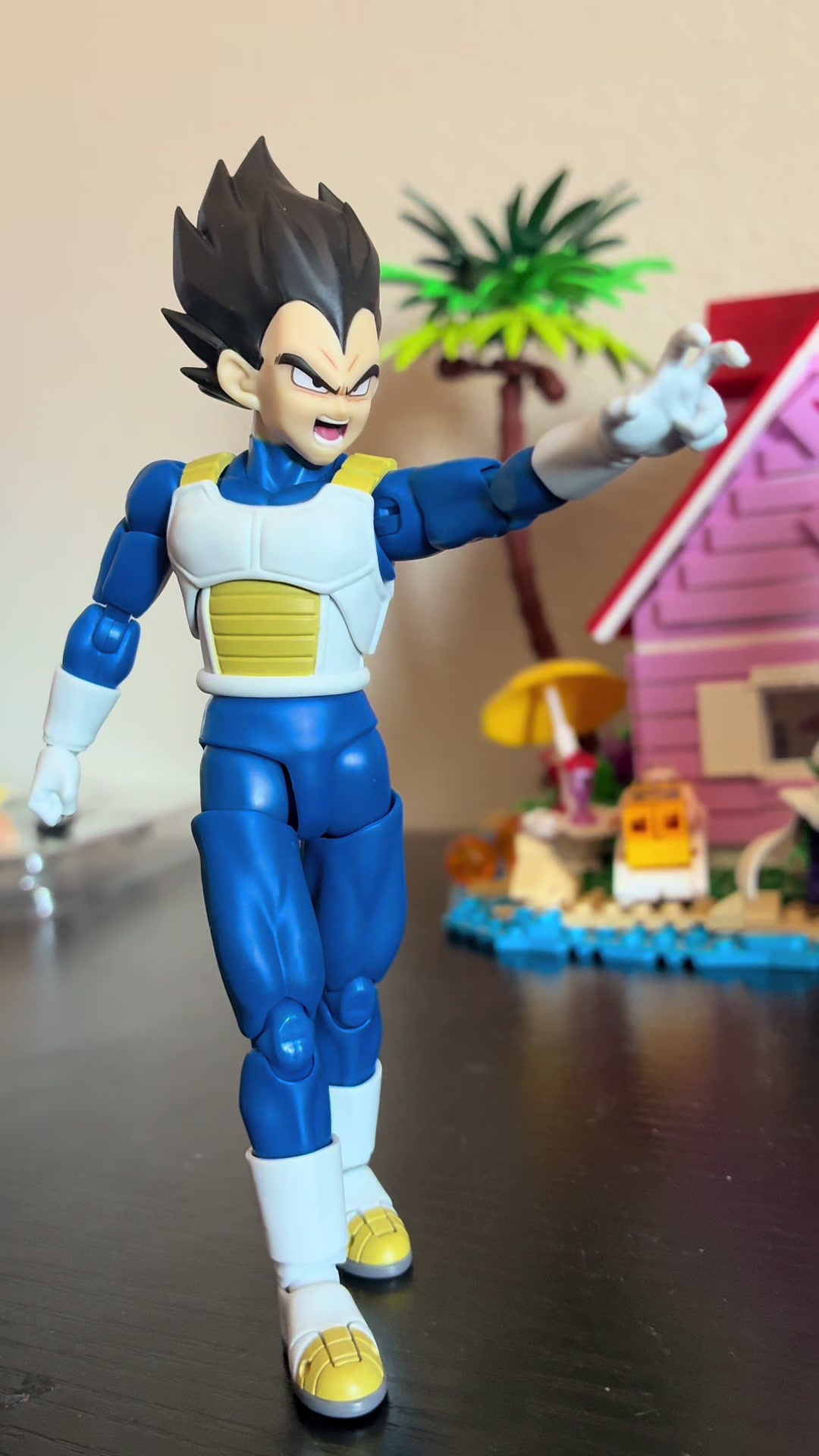 @Kame Sennin
