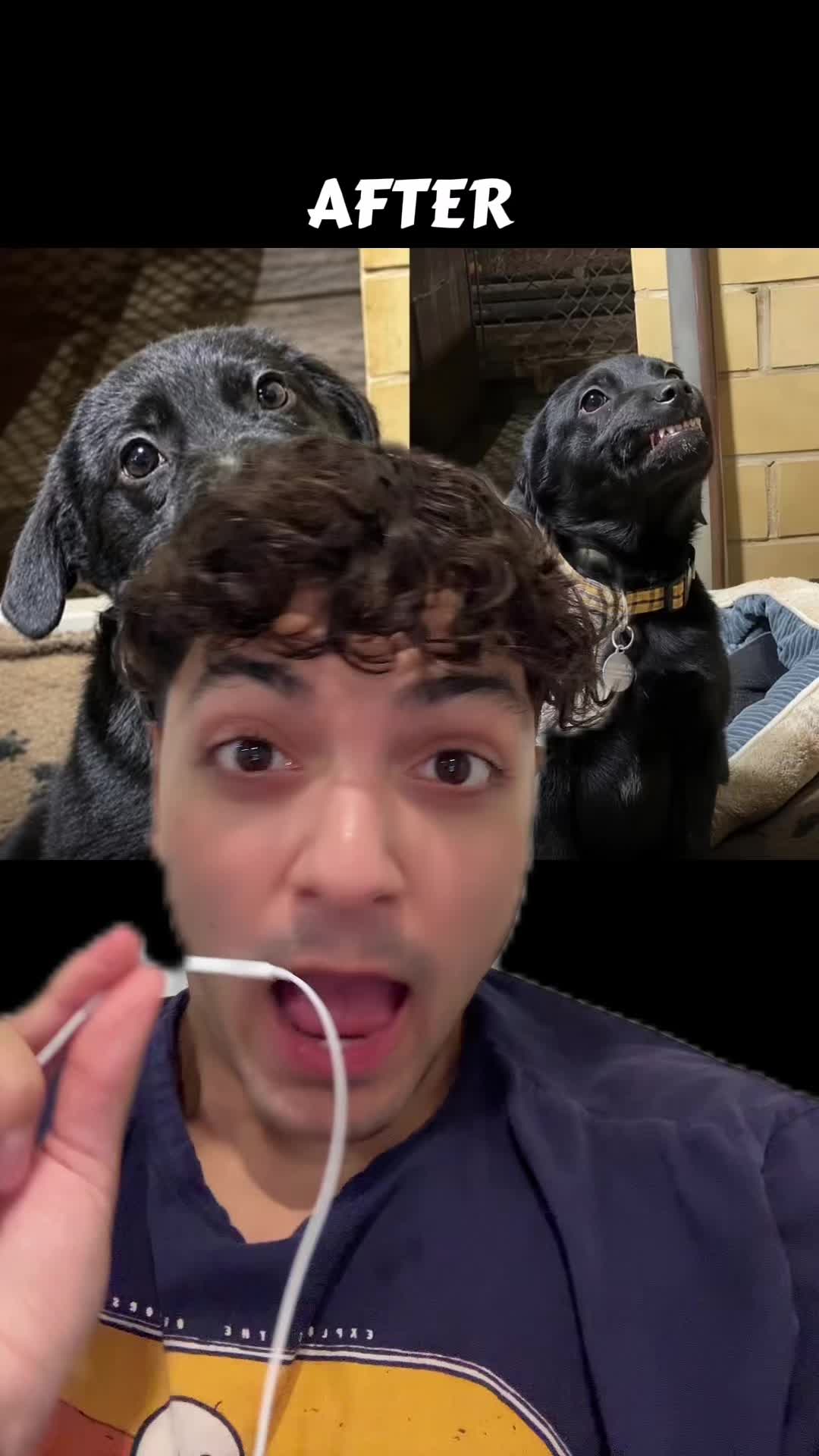 @Sbladn