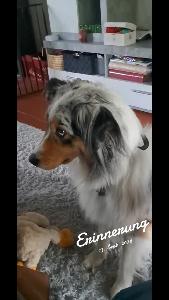 @Maya'sAbenteuer_HexeErinnerung