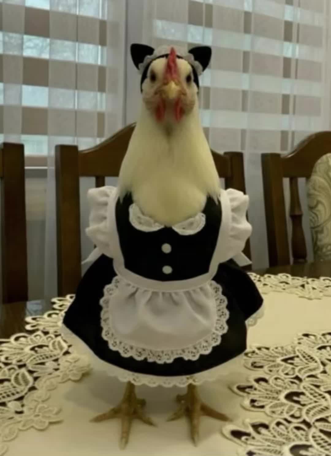 @🥰گMisikeگ