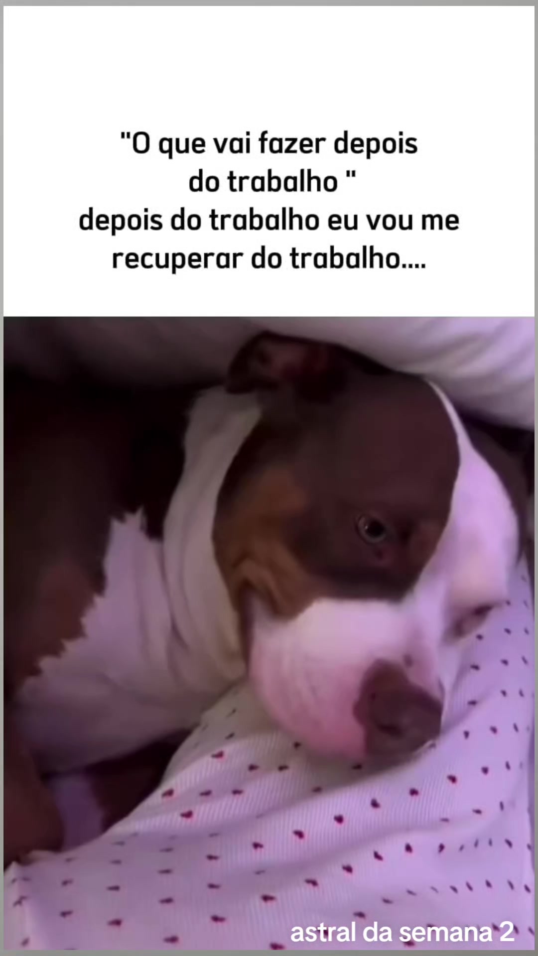 @Astral da semana 2