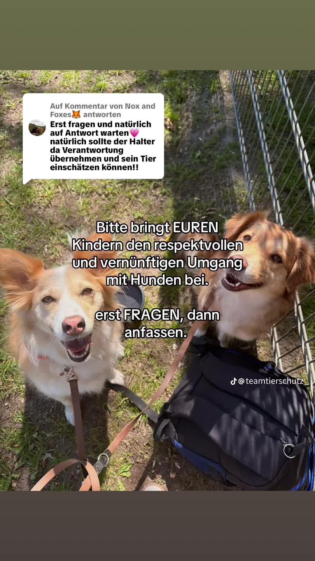 @Ichsch&uuml;tzekinderundtiere