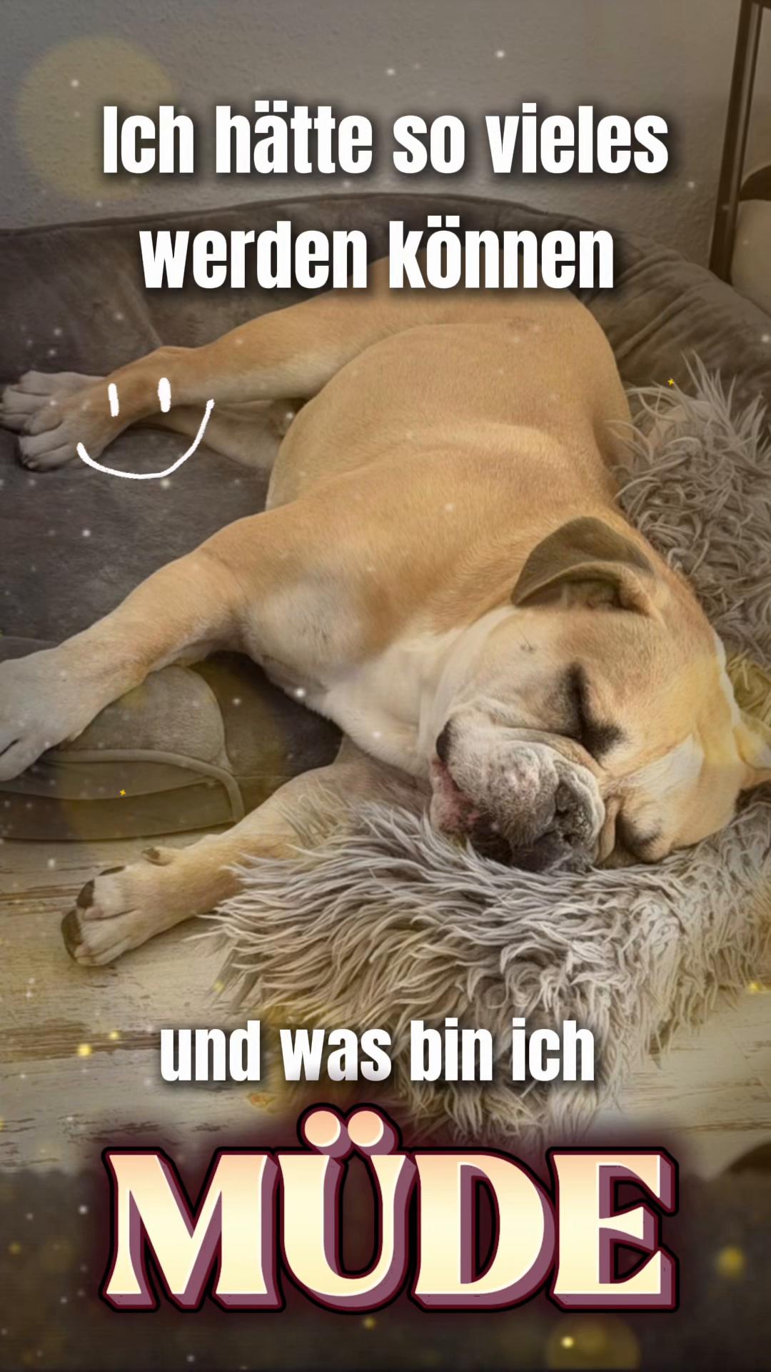 @Mogli🐾