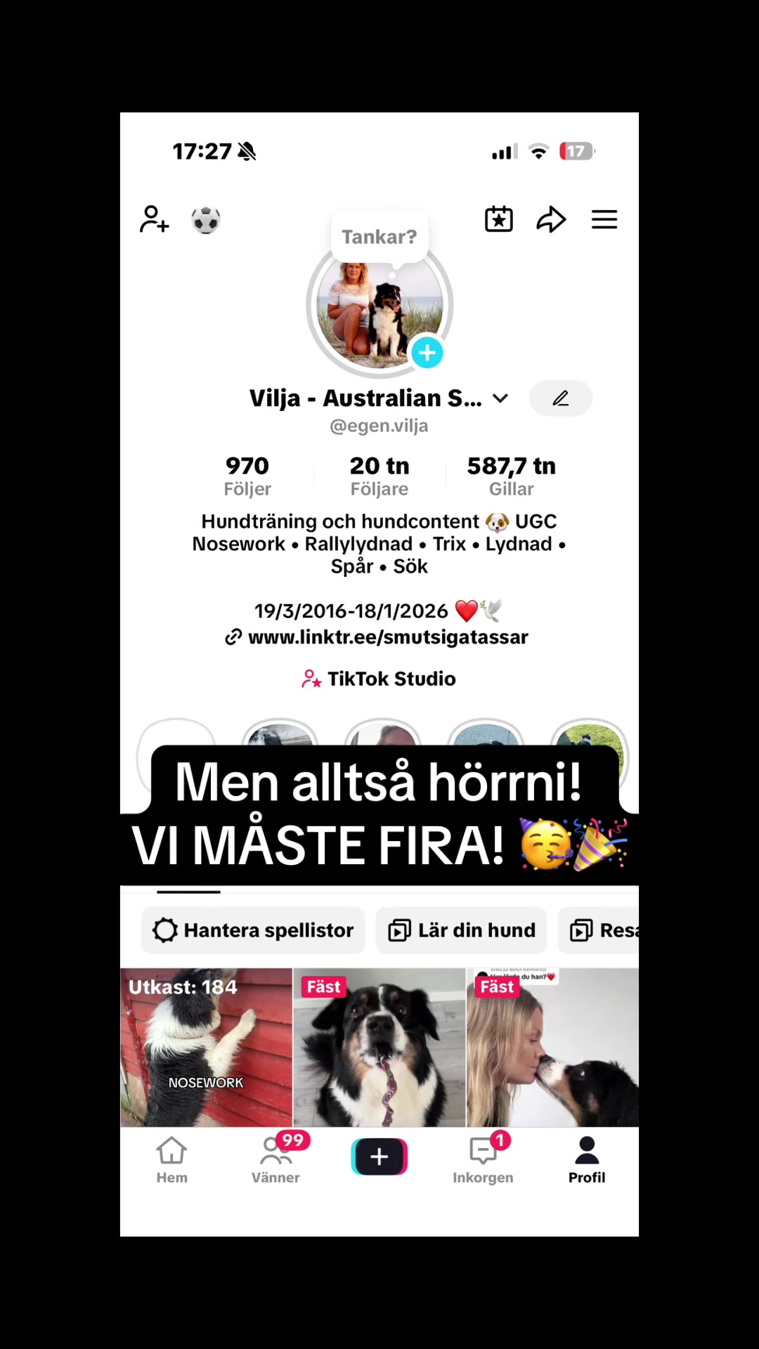 @Vilja - Australian Shepherd