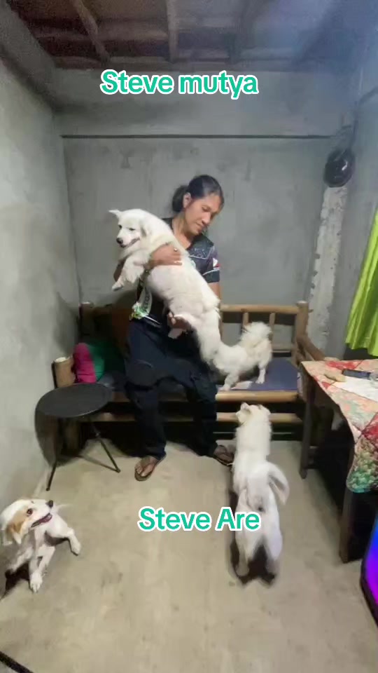 @Steve Mutya