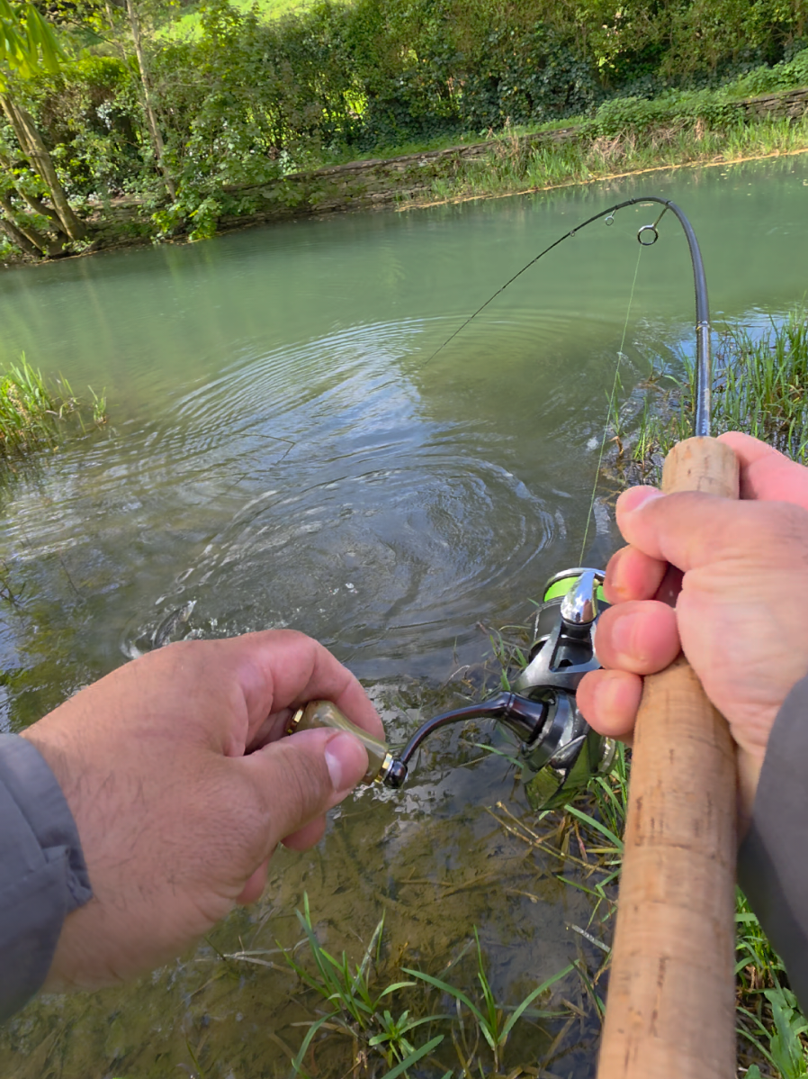 @BF Angler