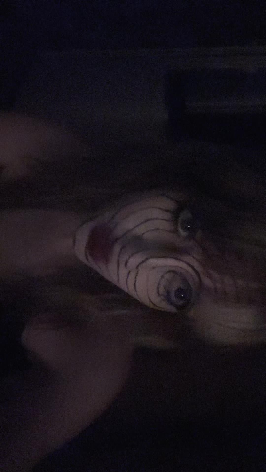 @Kriszti