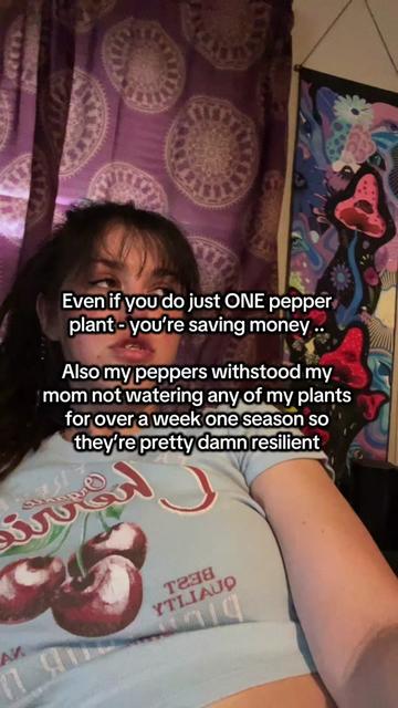 @🍄