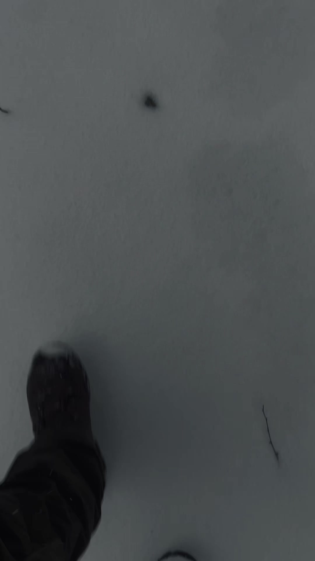 @TheOffgridExplorers