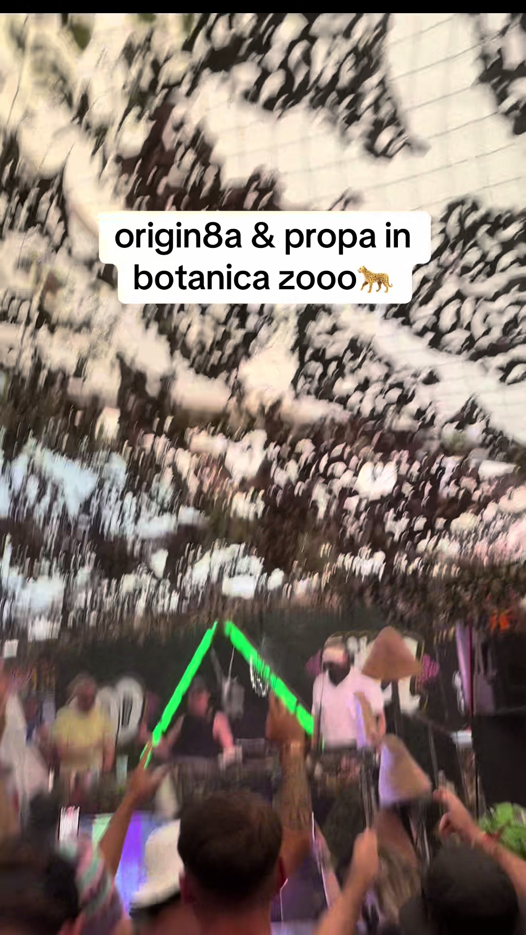 @zara