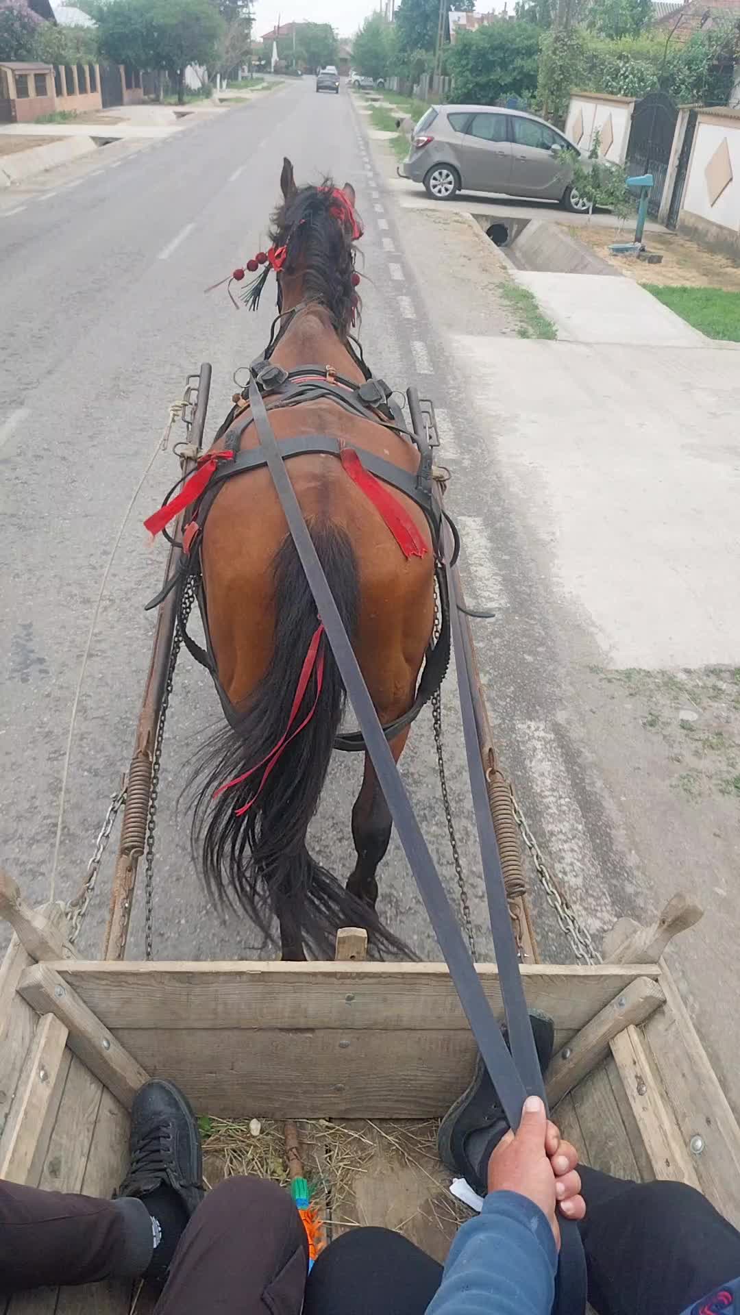 @Ștefăniță Oprea