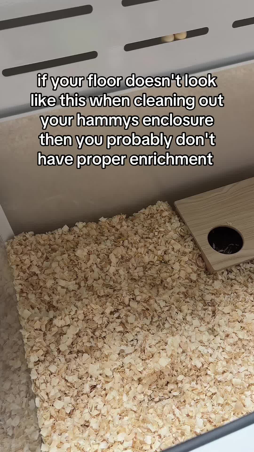 @thatweirdanimalgirl