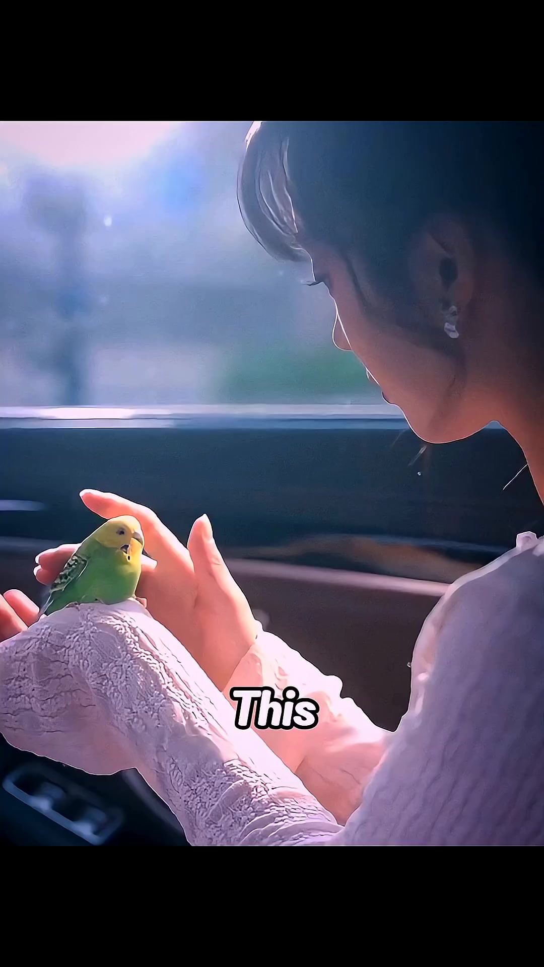 @Movies Reviews