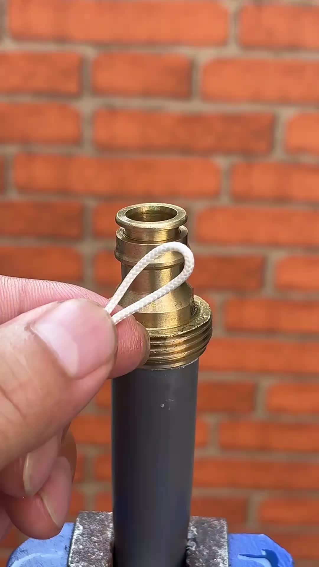 @Motivati 🍄