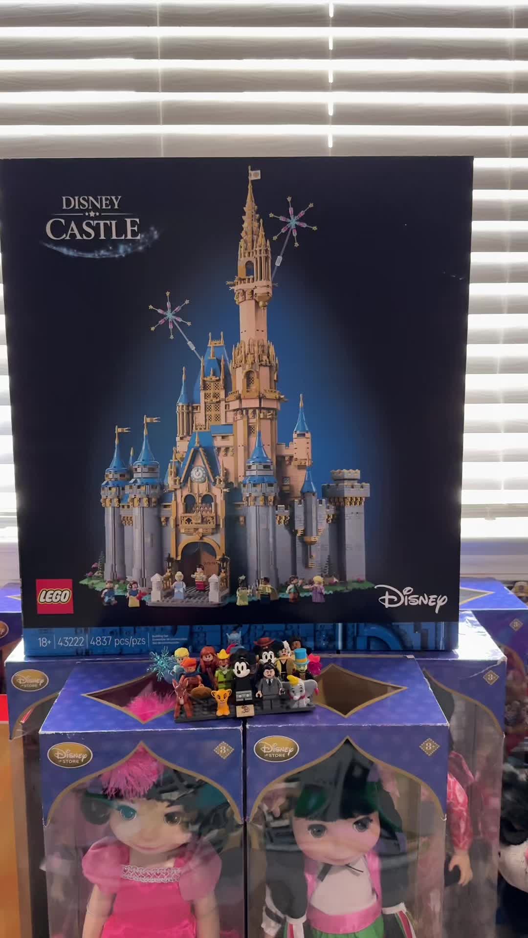 @Disney Dreamer