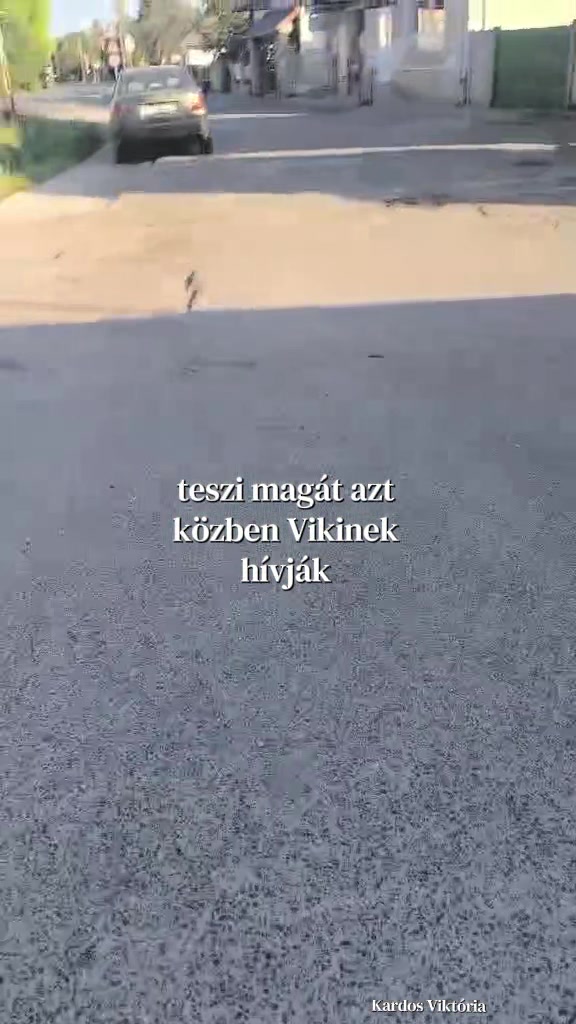 @🙉ྀི