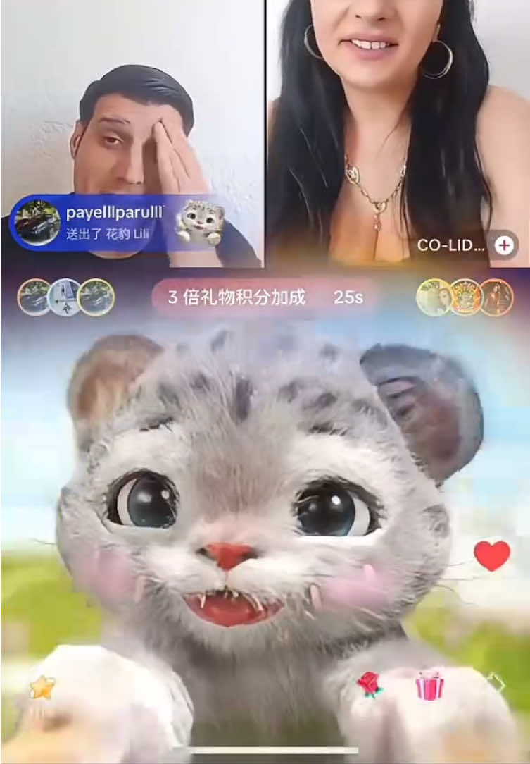 @payelllparulll