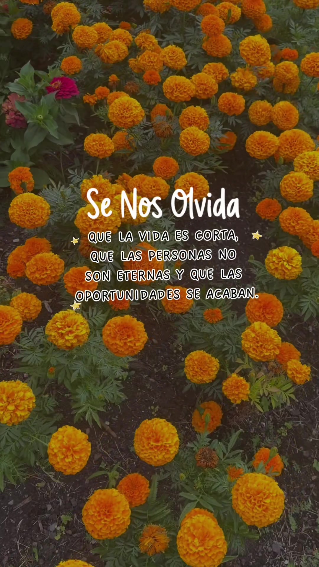@azucena90101