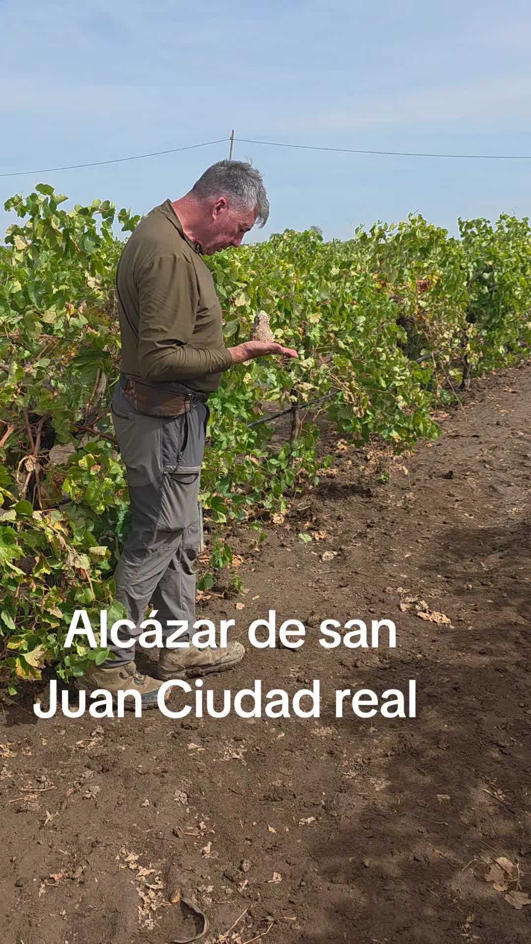 @Zahori Blas Moreno