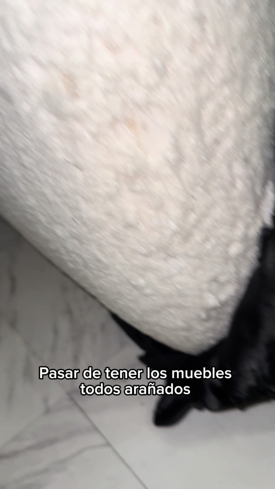 @✦ 𝑽𝒆𝒍𝒊𝒏𝒅𝒂 𝑵𝒐𝒗𝒂 ✦