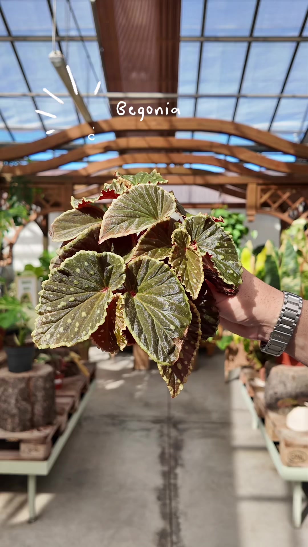 @Garden Center Brioli