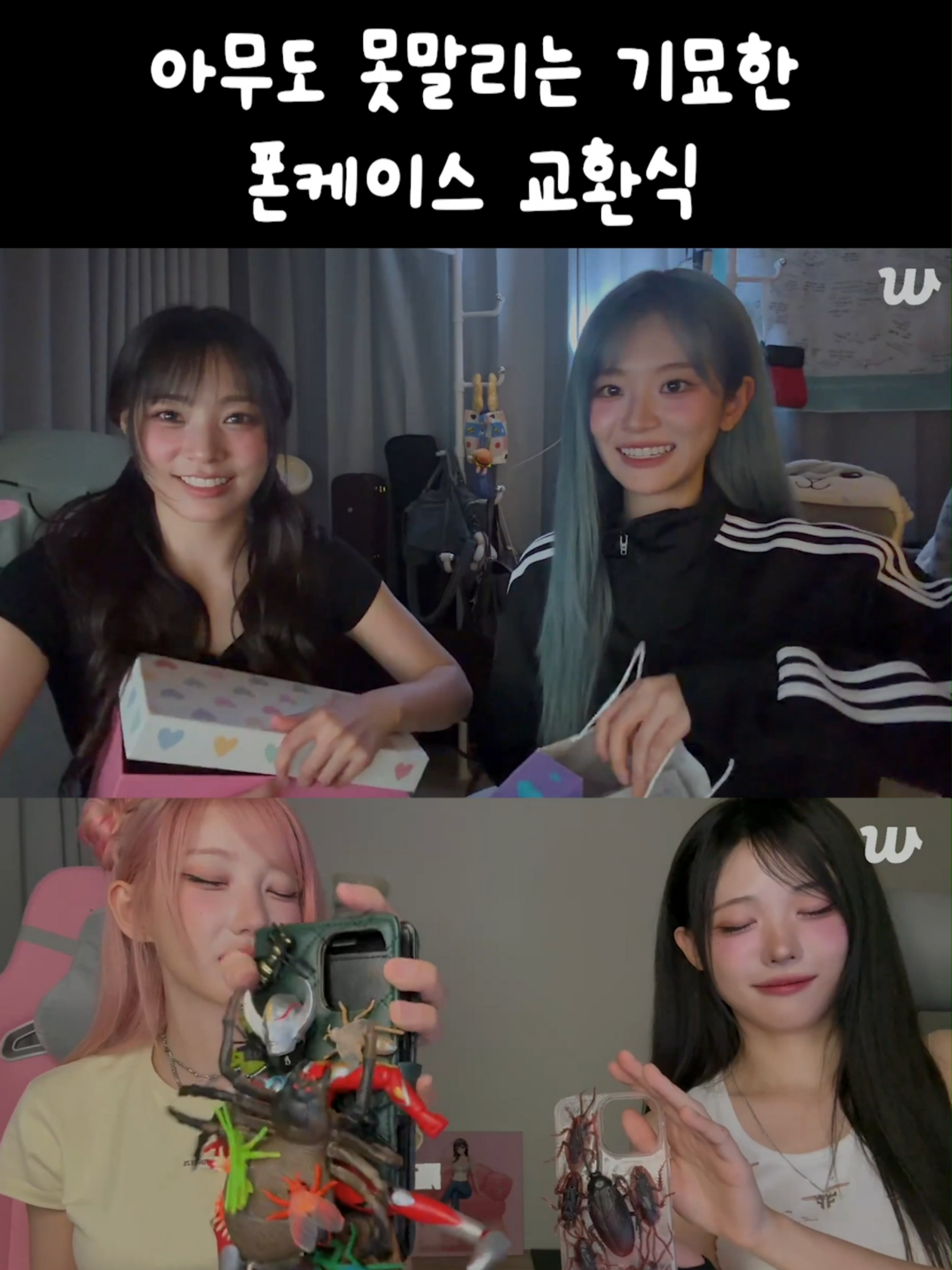 @집게발 아카이브