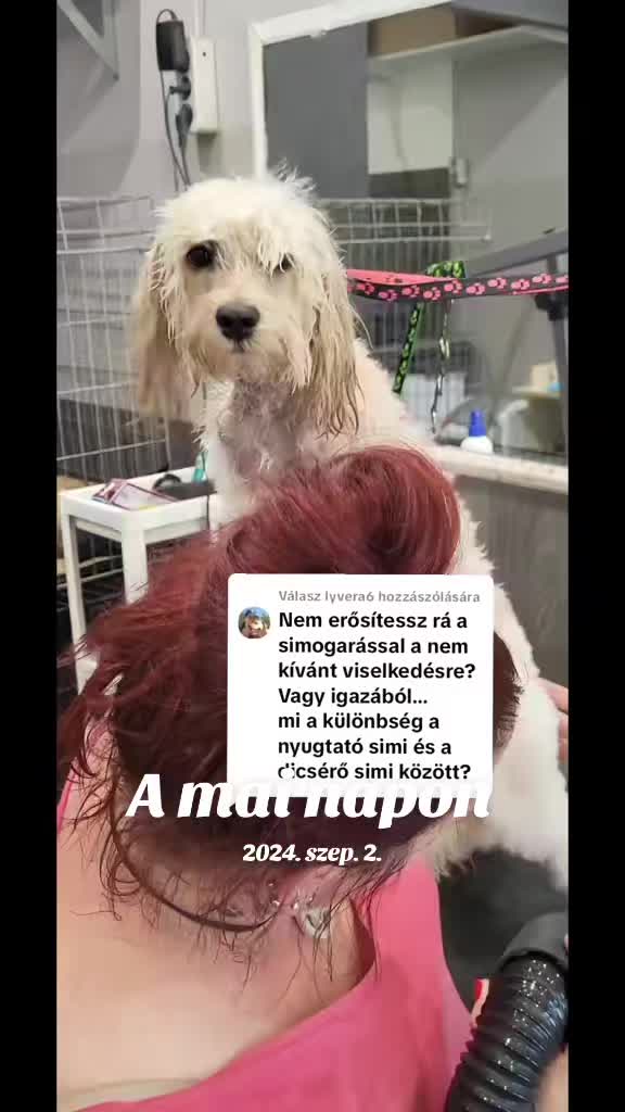 @Viki-Kutyakozmetika Másképp