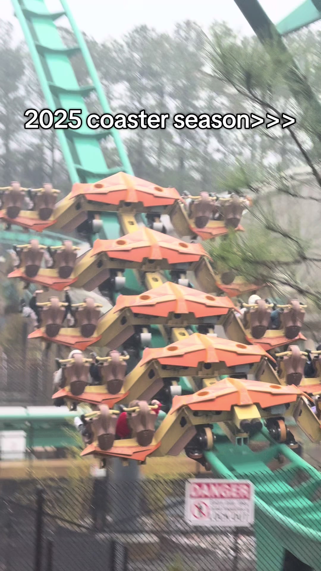 @smthboutrollercoasters