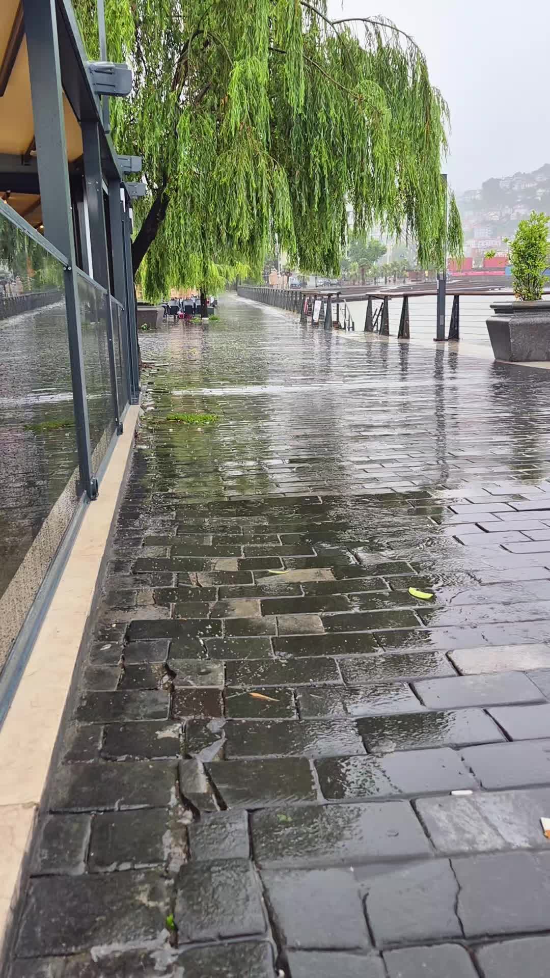 @Aygül Zonguldak'lı