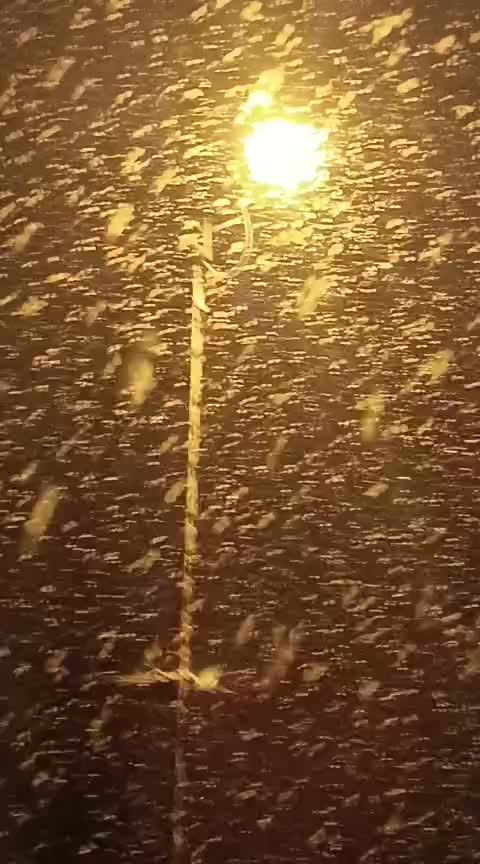 @Memo kezo38 1984 gayserilii gı