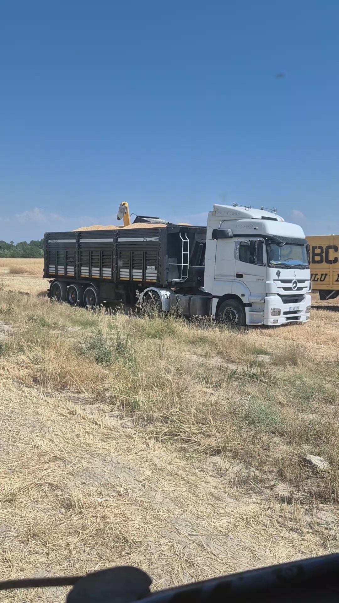 @Muro Başkan