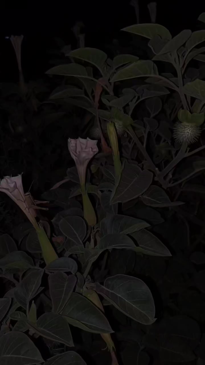 @𝑬 𝑴 𝑨 𝑵 ♥️
