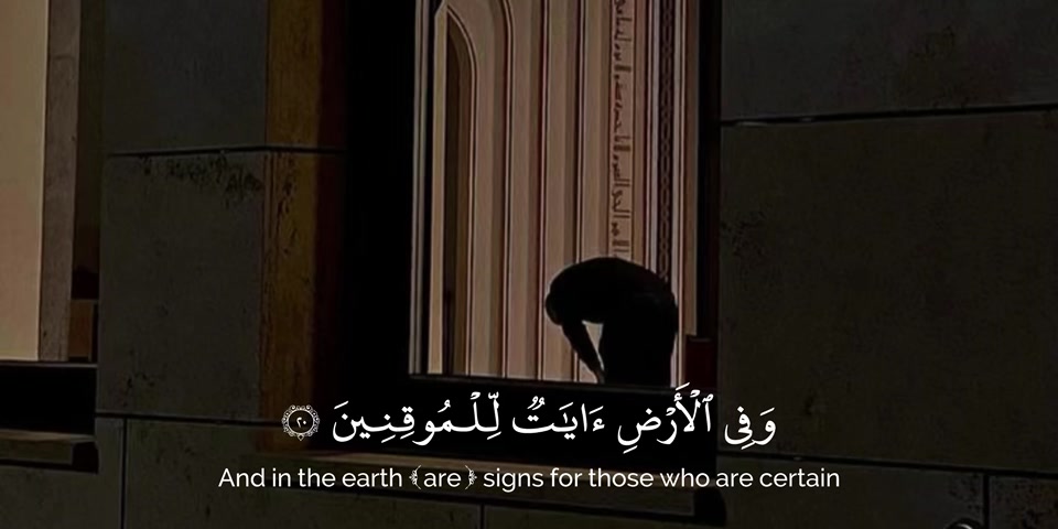 @vii6j